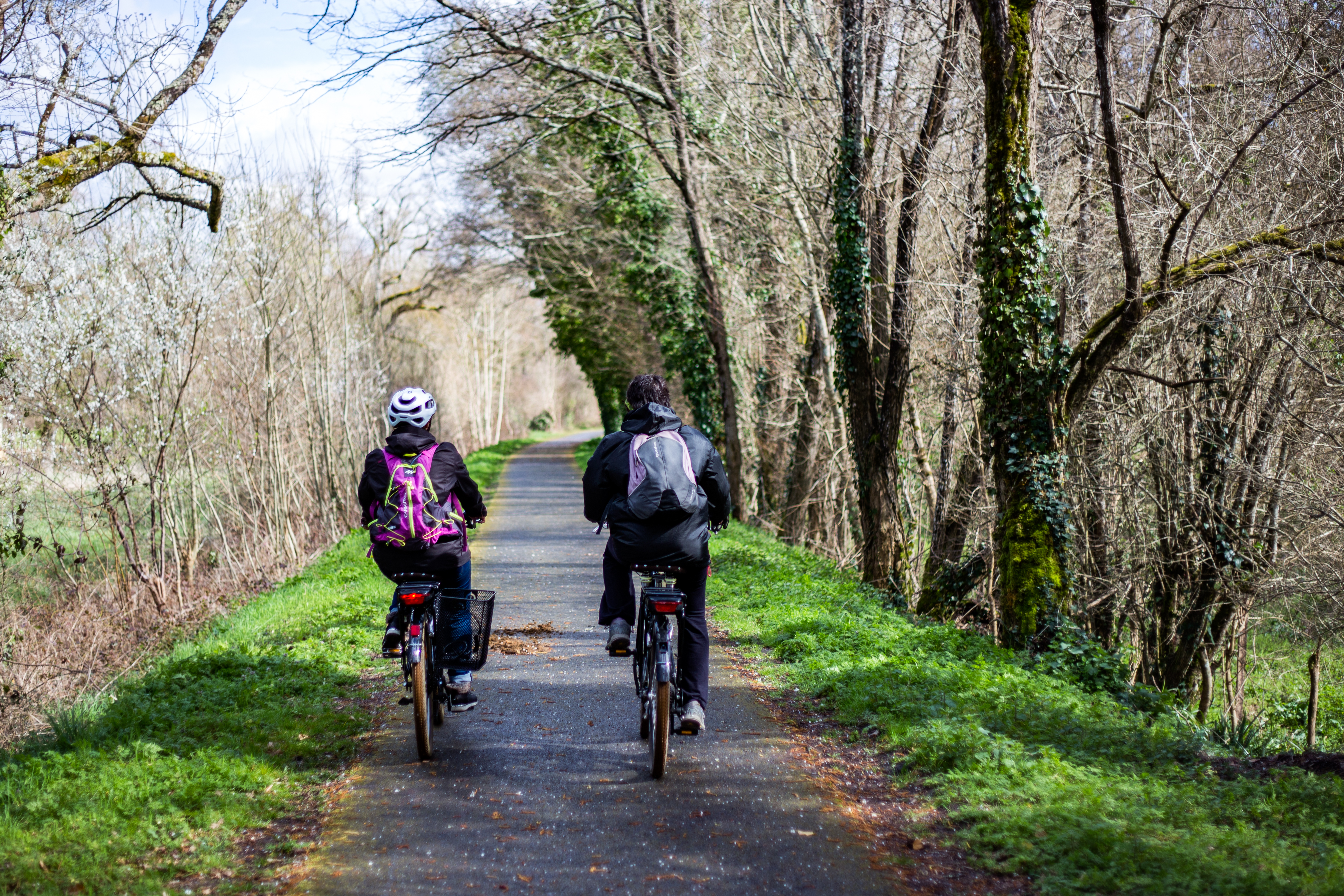 La boucle des églises romanes