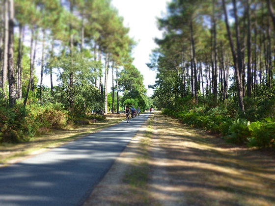 Bike Company 33 - photo 3