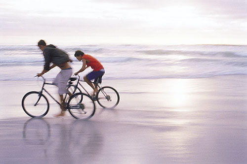 Ericycles