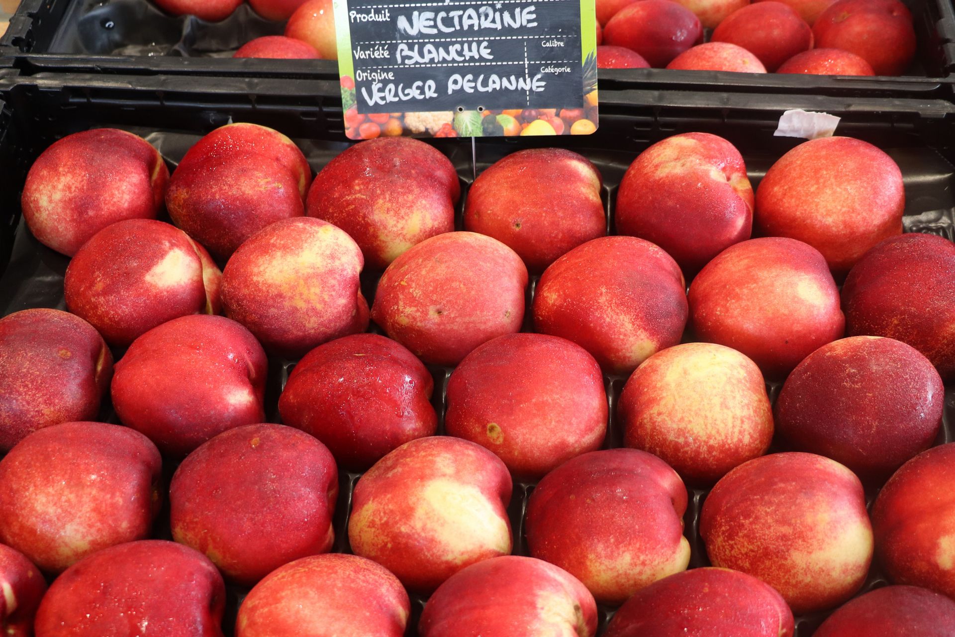 Verger Pélanne - photo 4