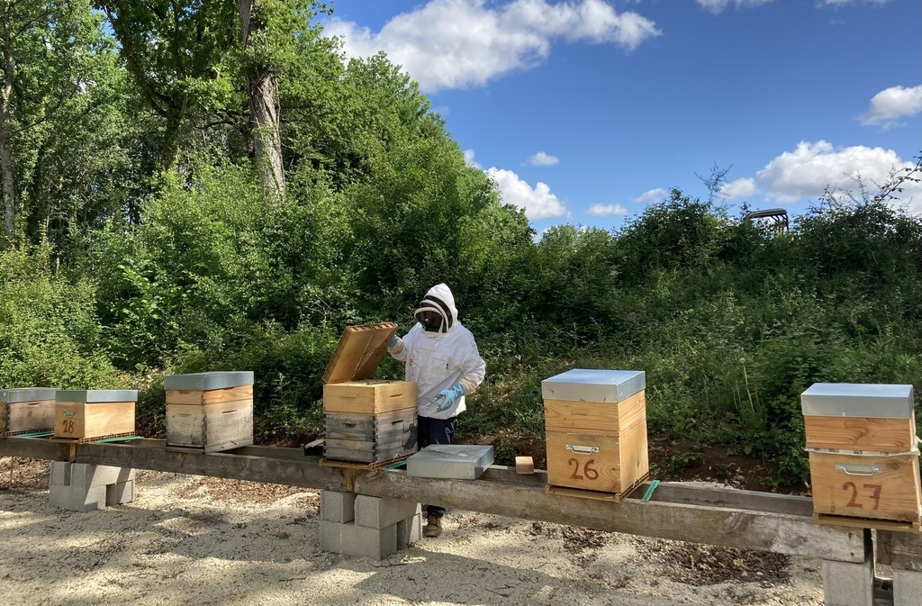 Le Verger des Arilles - photo 2