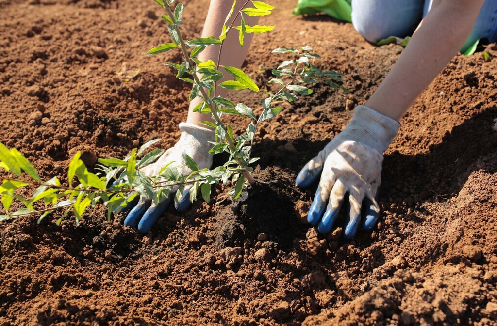 Le Verger des Arilles - photo 4