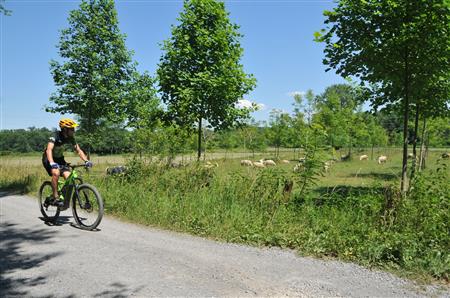 VTTAE N°69 - Le tour de Saint-Pée VTTAE N°69 - Le tour de Saint-Pée