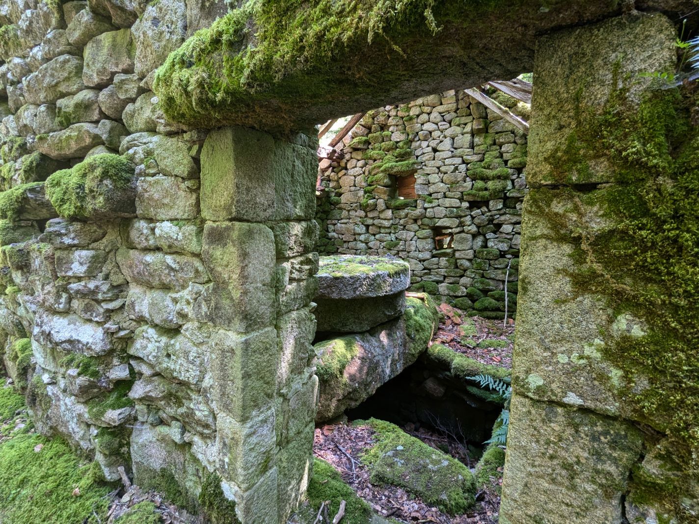 Moulins et Rochers, Tarnac - photo 8