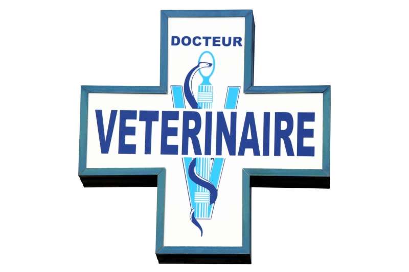 Clinique Vétérinaire des Dunes