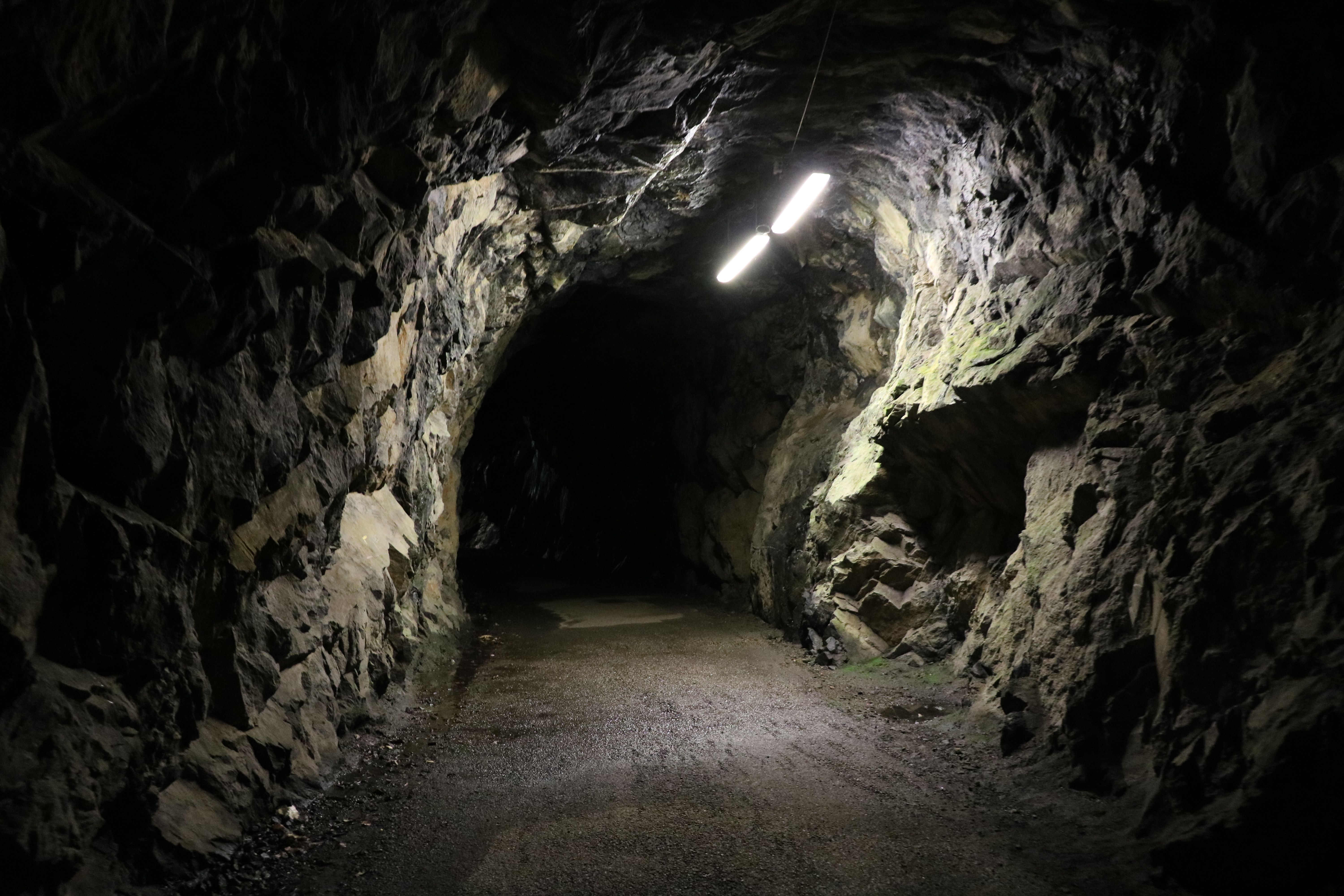 Viaduc des Rochers Noirs : Le Jardin de Firmin, Soursac - photo 4