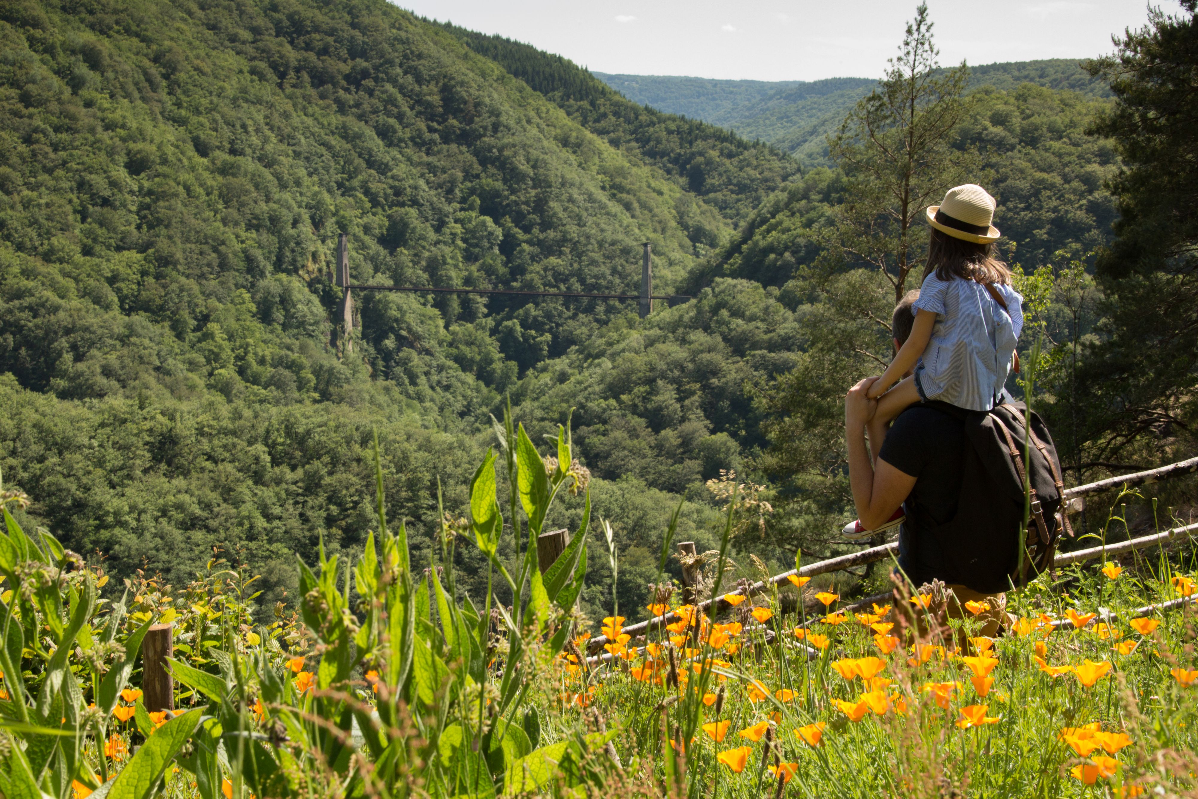 Les gorges de la Luzège, Saint-Pantaléon-de-Lapleau - photo 5