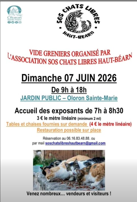 Vide grenier de l'association SOS Chats libres en Haut-Béarn — visuel événement