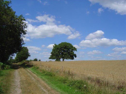 Circuit des Serves, Videix - photo 3