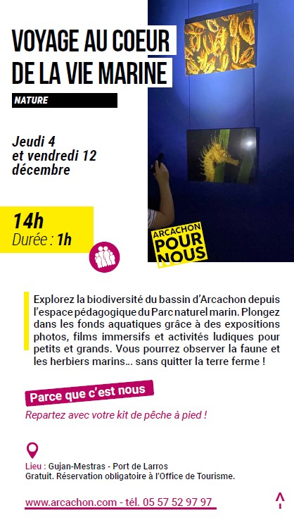 Arcachon pour nous : Voyage au coeur de la vie marine