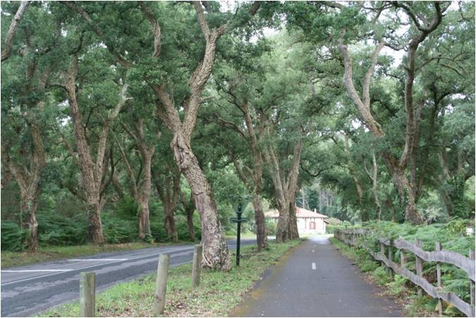 Piste Cyclable de La Lette Blanche - photo 2