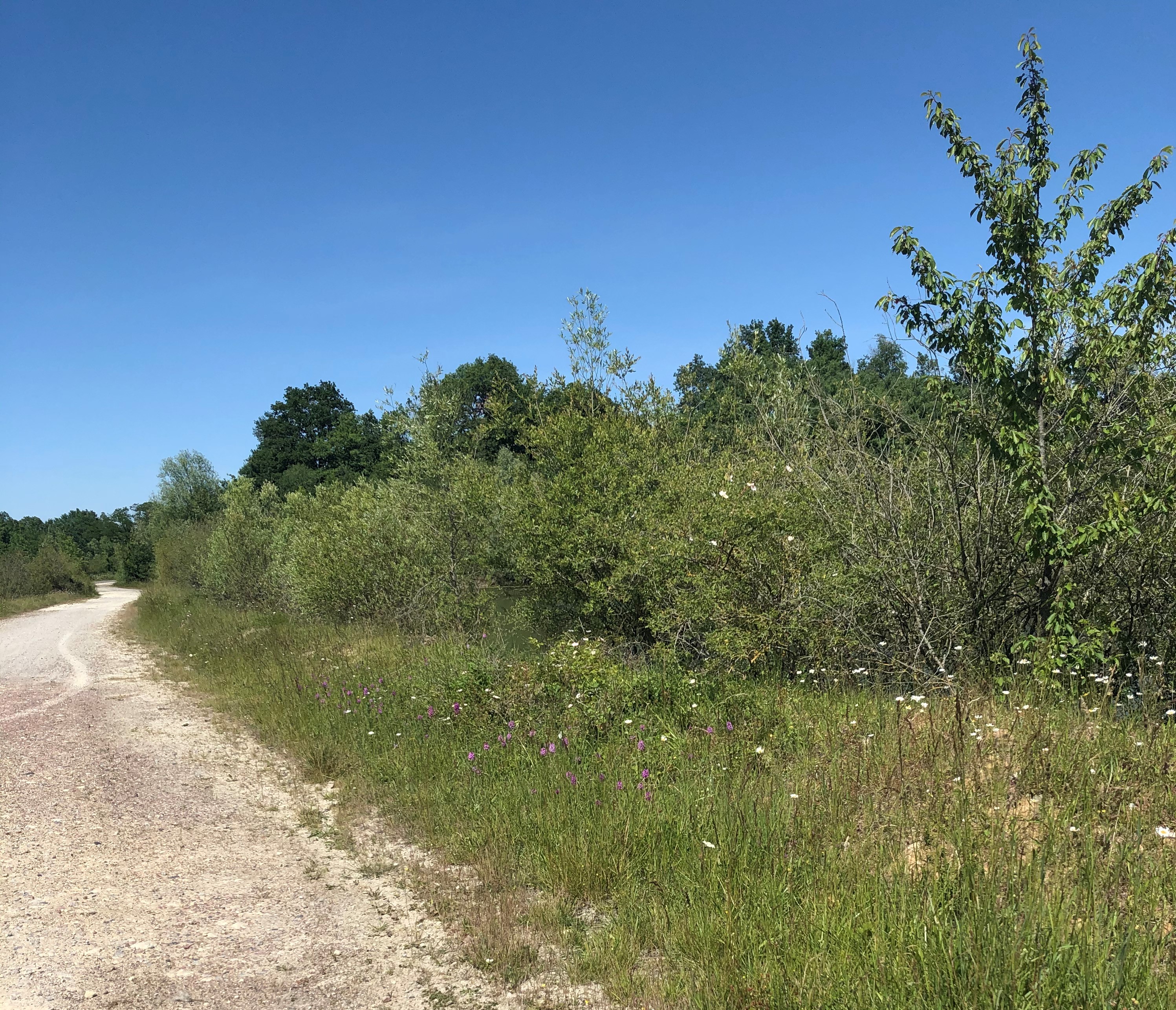 L'endurance - photo 2