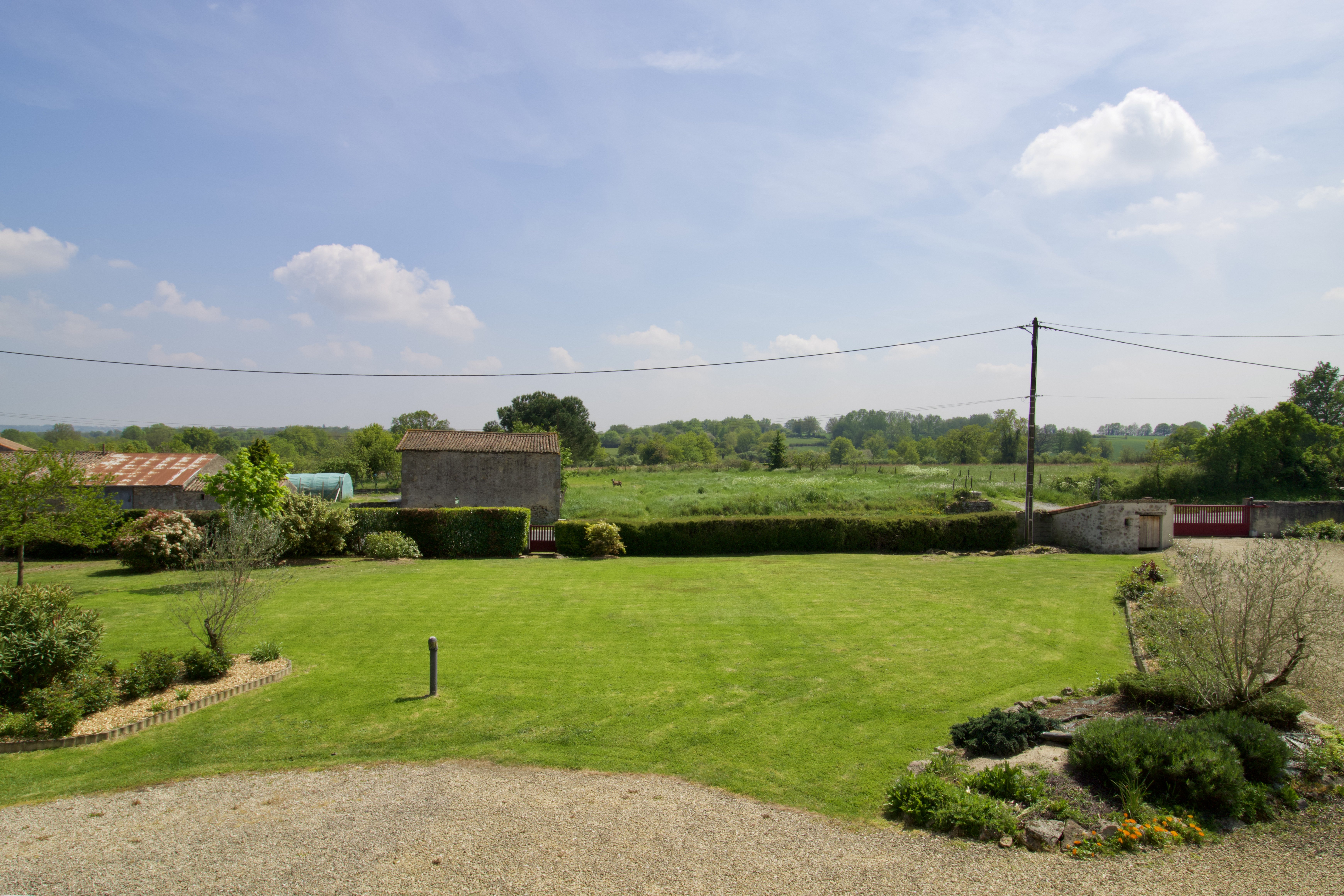 Ô trois oliviers, Louin - photo 7