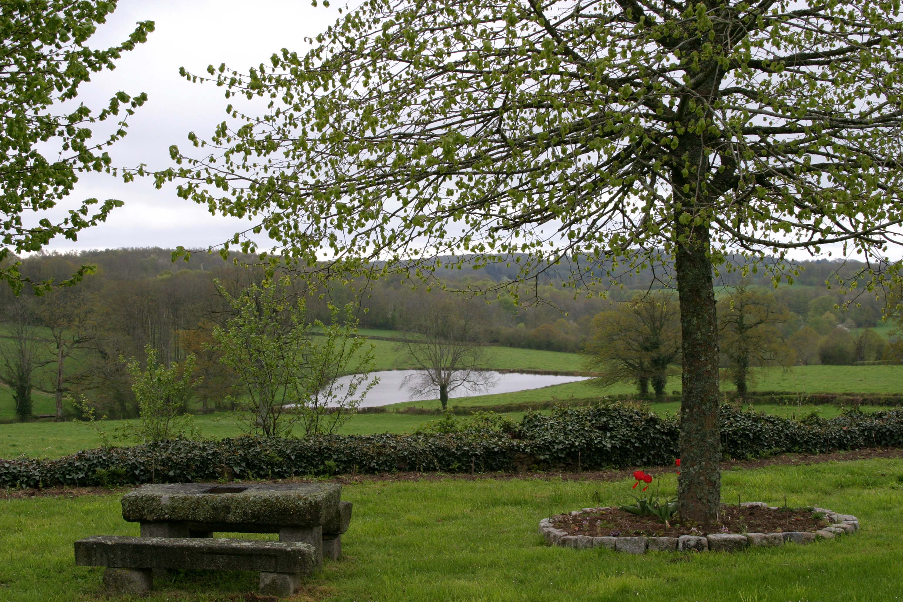 Le sentier du Tilleul