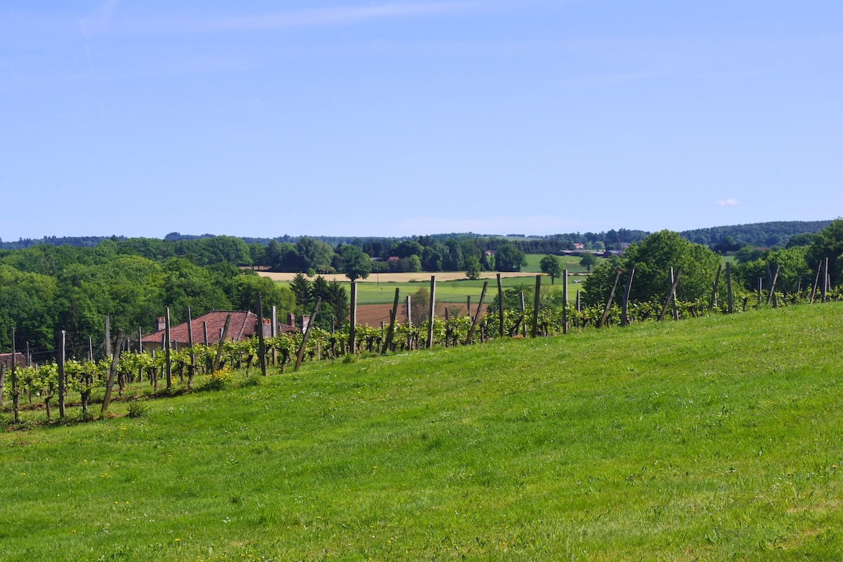 GRP®Monts et Barrages en Limousin - Etape 1 - De Saint-Léonard-de-Noblat à Bujaleuf — photo 2