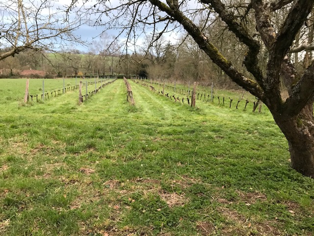 Gîte l'Albatros, Bressuire - photo 25