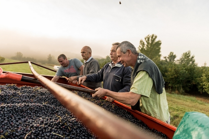 Vignerons de Buzet - photo 2