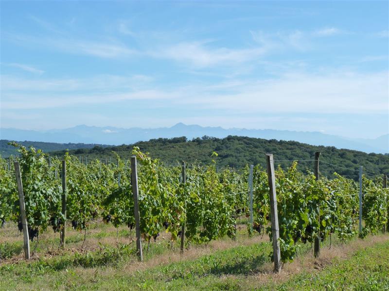 Moncaup : au cœur du Madiranais à VTT 