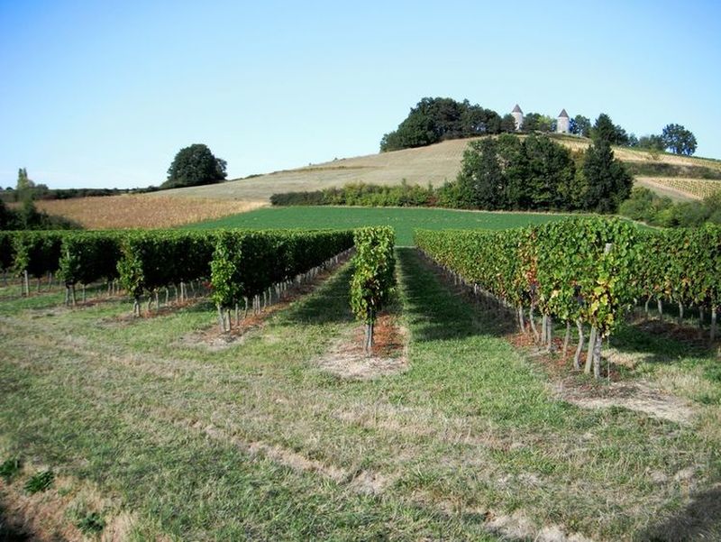 La Boucle de Boisse -  Boisse