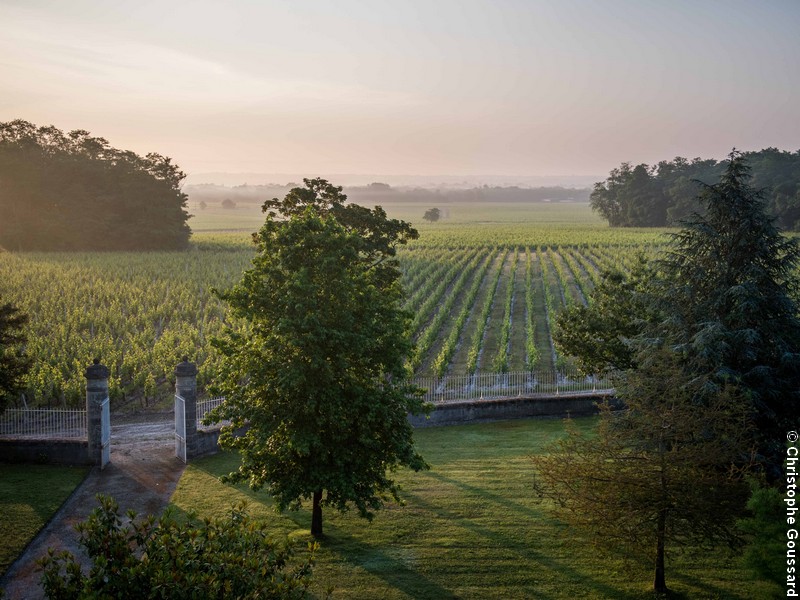 Château Malescasse - photo 4