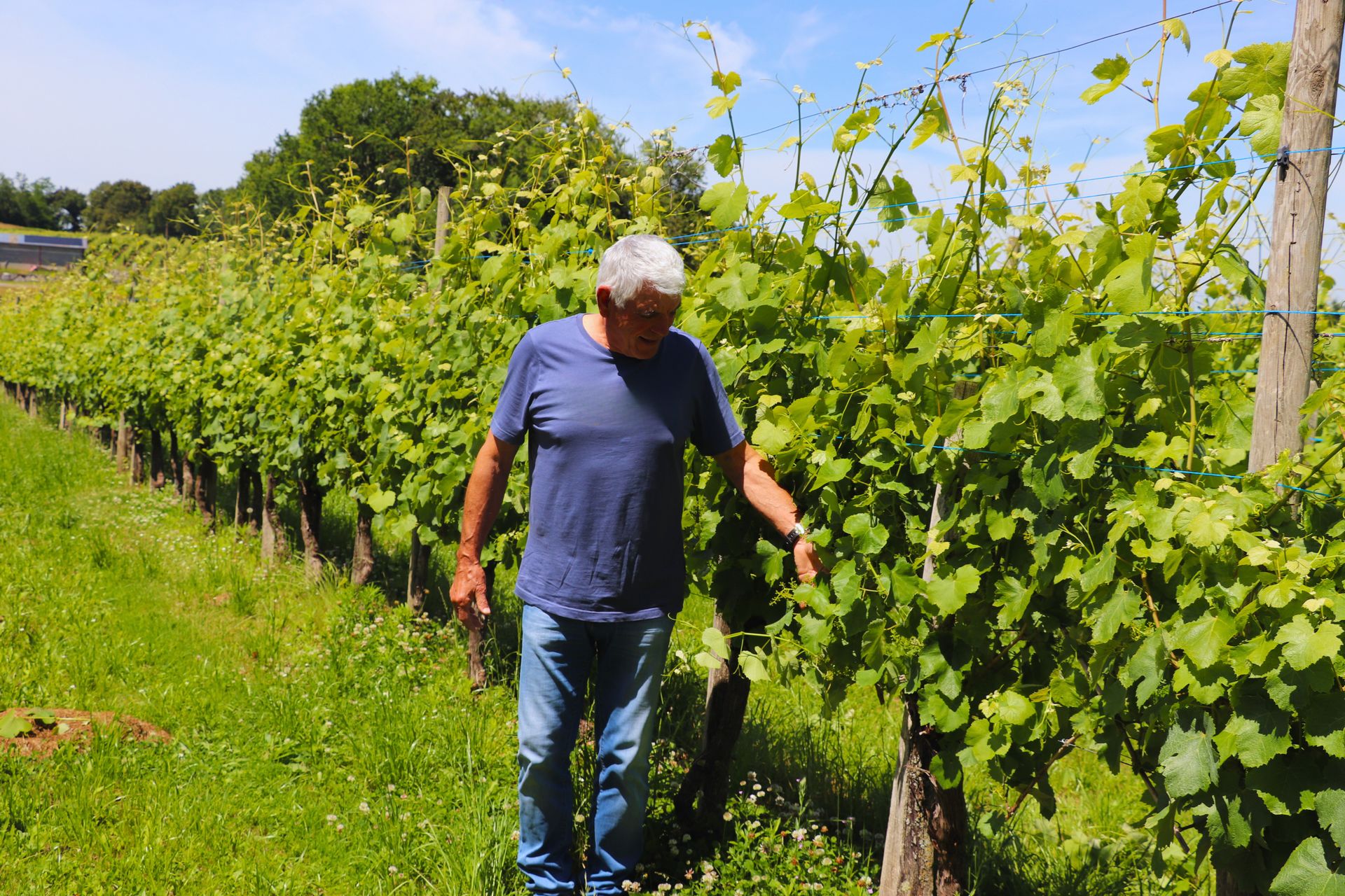 Domaine Malarrode - photo 4