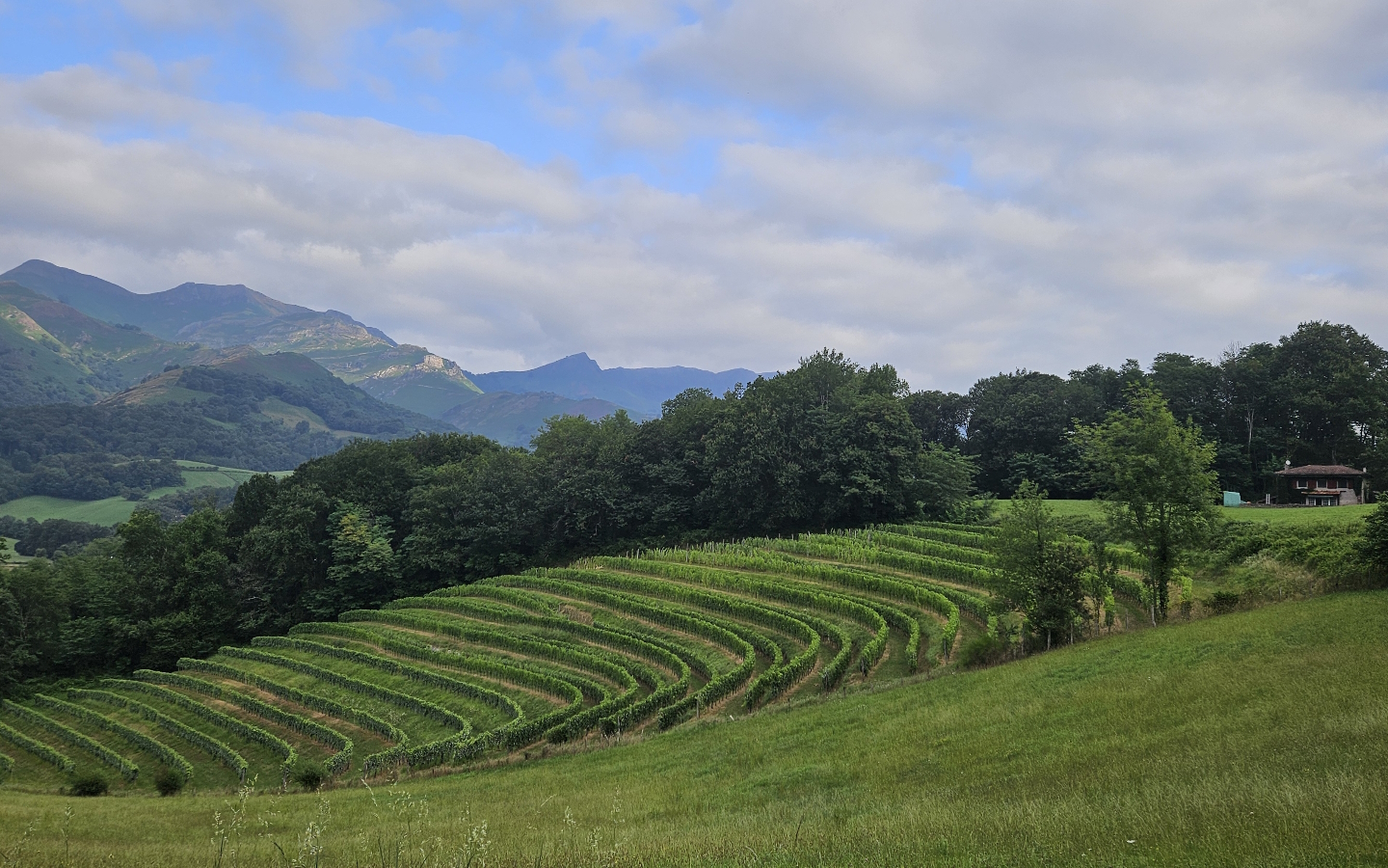 Table d'orientation Oronozia, Saint-Étienne-de-Baïgorry - photo 2