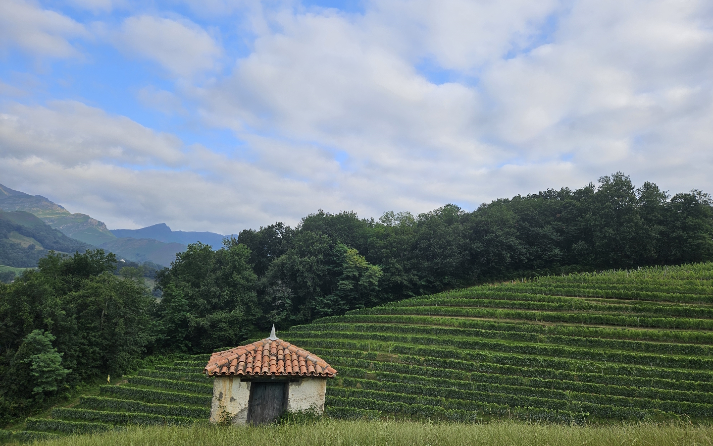 Table d'orientation Oronozia, Saint-Étienne-de-Baïgorry - photo 3