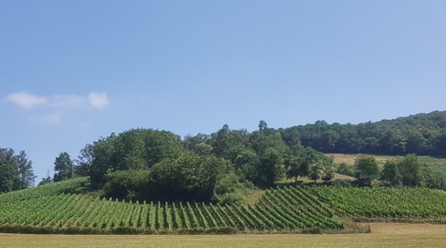 Domaine Hegaldaka
