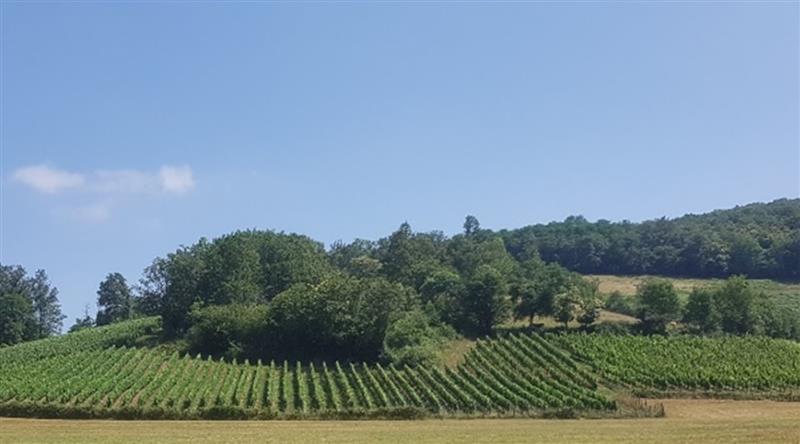 Domaine Hegaldaka