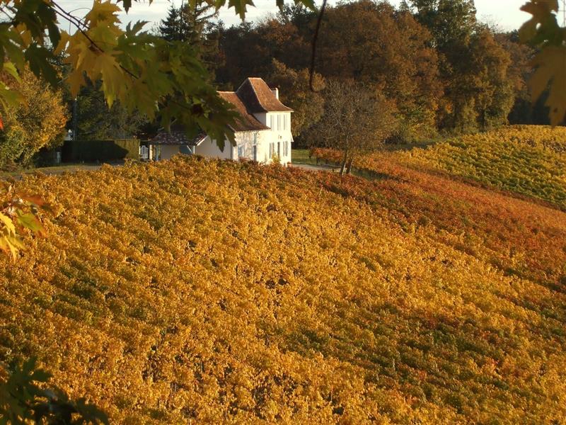 Domaine Lapeyre-Guilhemas