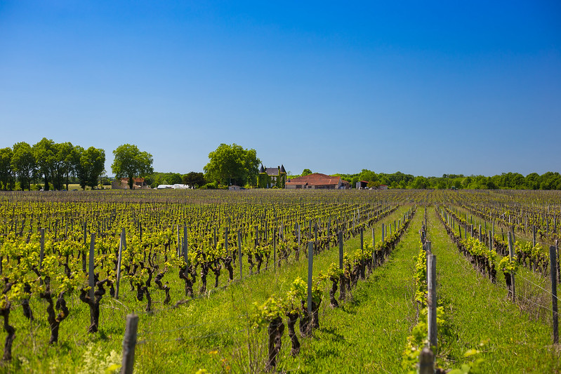 Tour de Gironde à vélo : étape 14 - Vitrezay / Blaye, Blaye - photo 4
