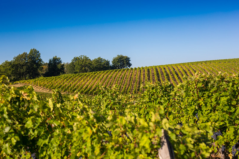 Tour de Gironde à vélo : étape 2 - Créon / Sauveterre-de-Guyenne, Créon