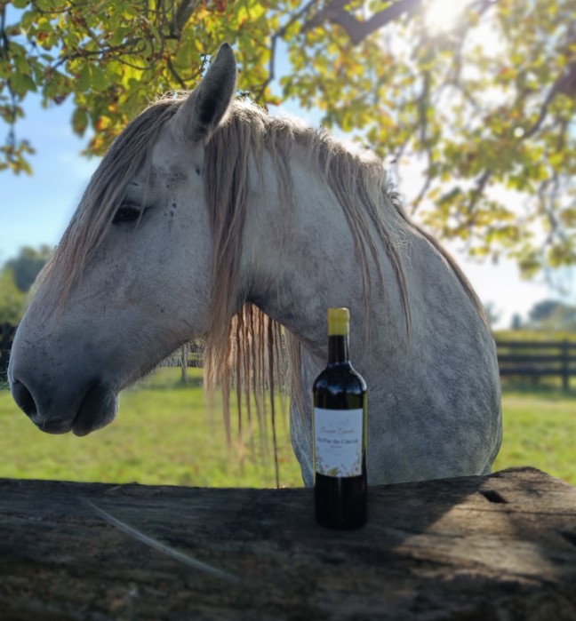 Journée Oenotourisme au Vignoble Au Pas du Cheval