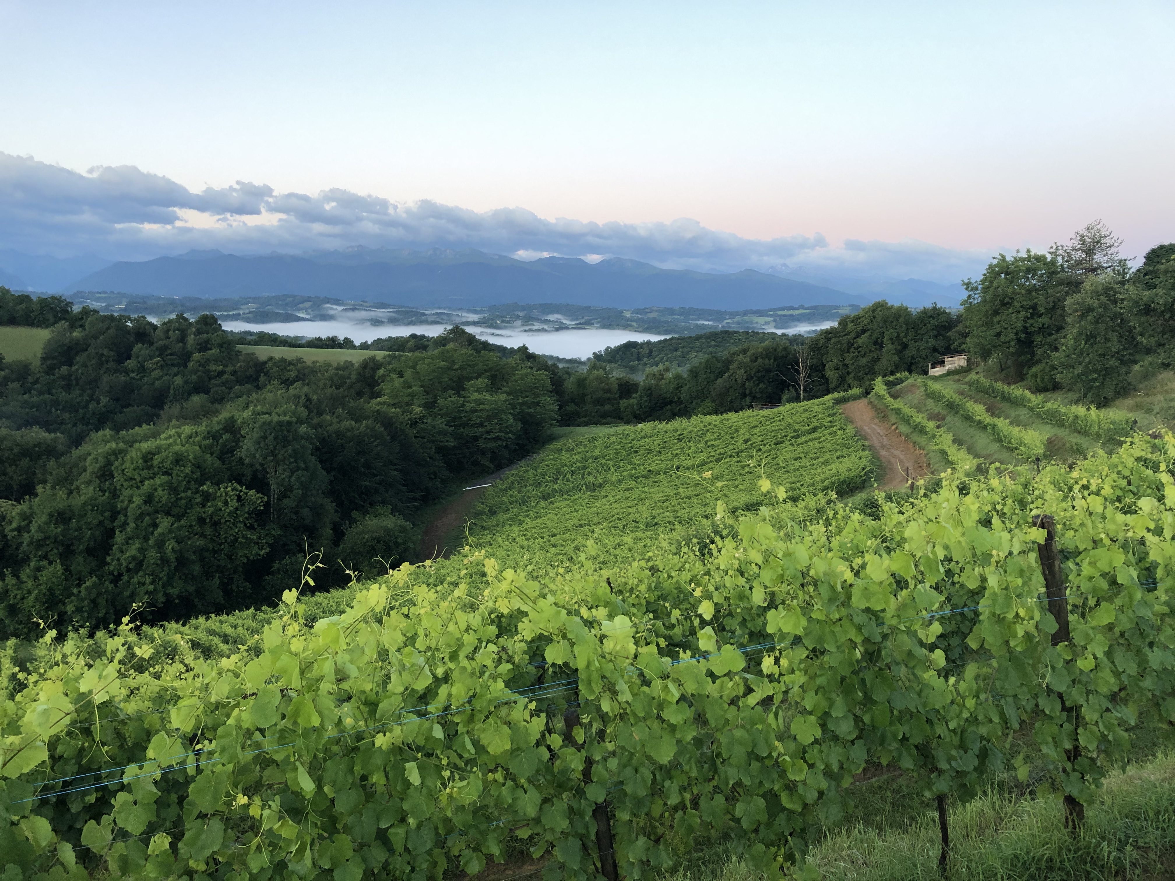 Domaine Ekoto