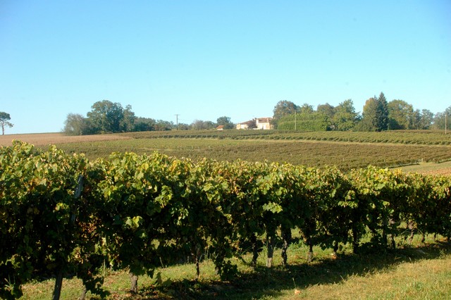 Camping-car d'hôtes au Martin, Hontanx - photo 2