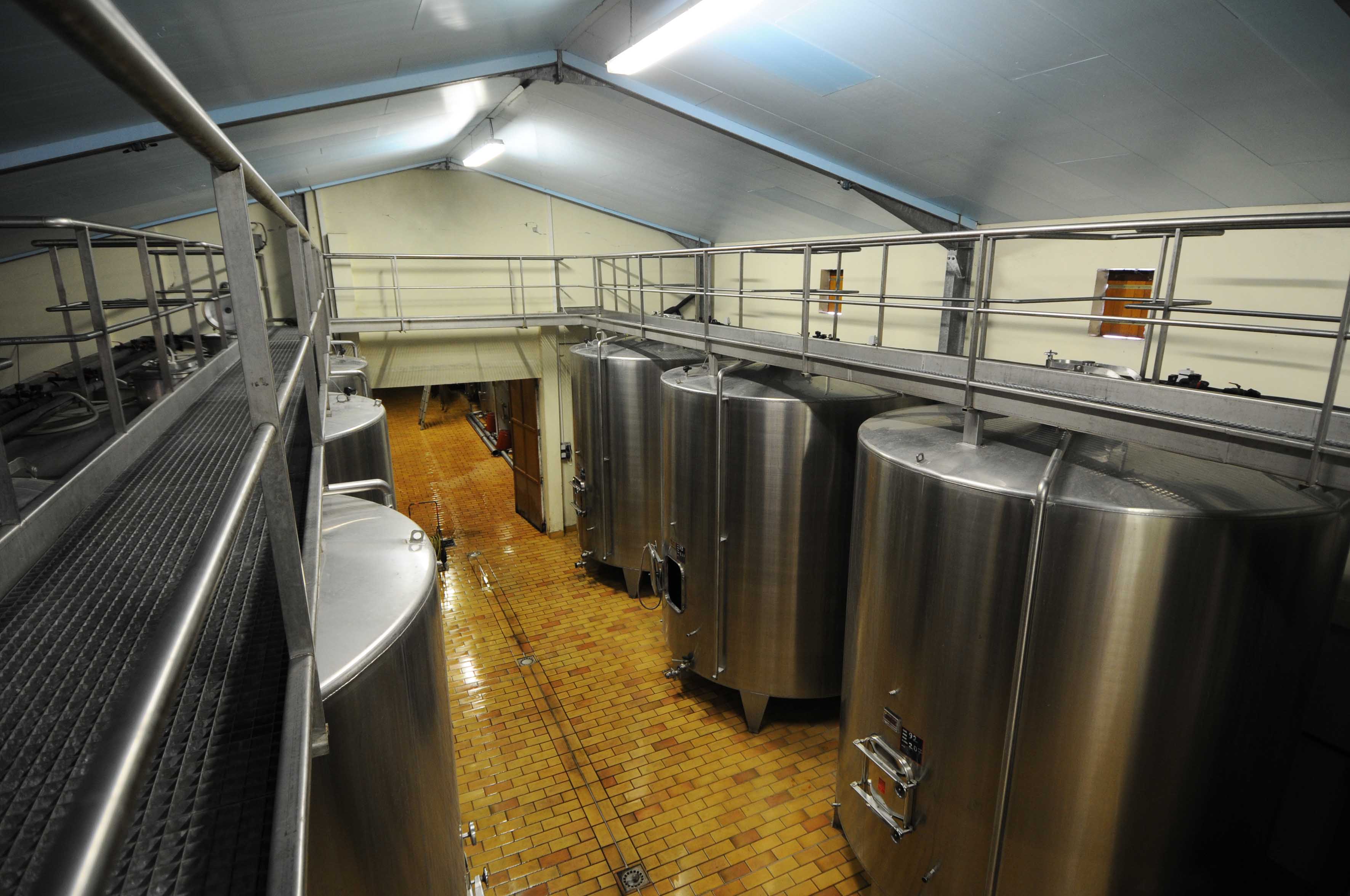 Château Nicot - Vignobles Dubourg - photo 3