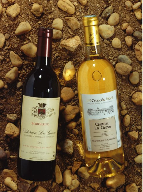 Vignoble Tinon
