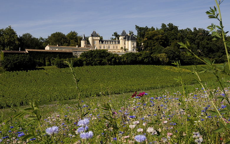Festival Confluent d'Arts au Château de La Rivière, La Rivière - photo 11