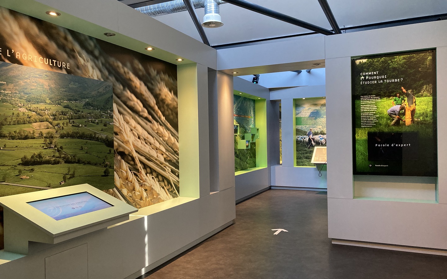 Villa Bedat - Centre culturel et Patrimonial, Oloron-Sainte-Marie - photo 6