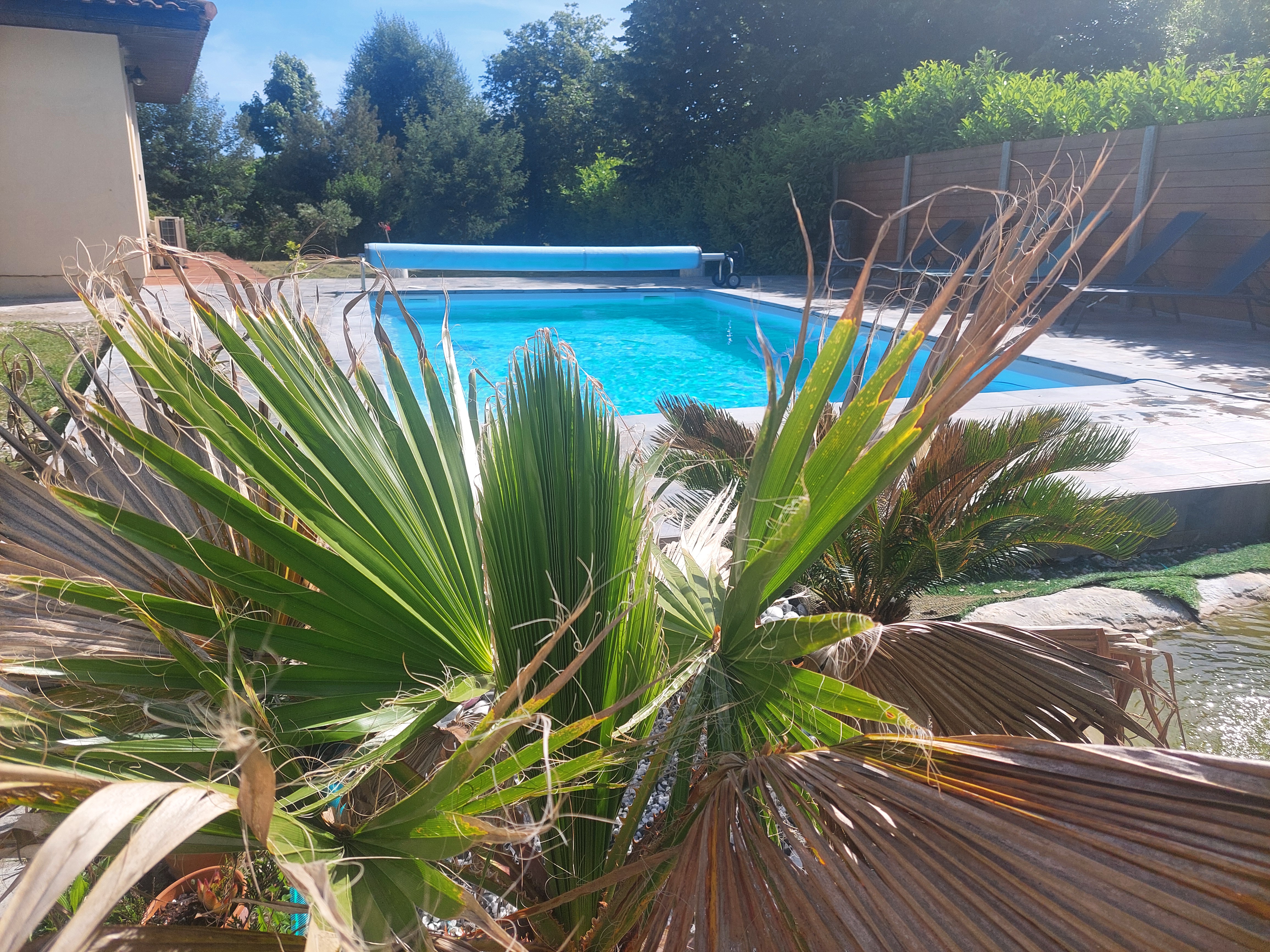 Villa Floryanne, Parentis-en-Born - photo 13