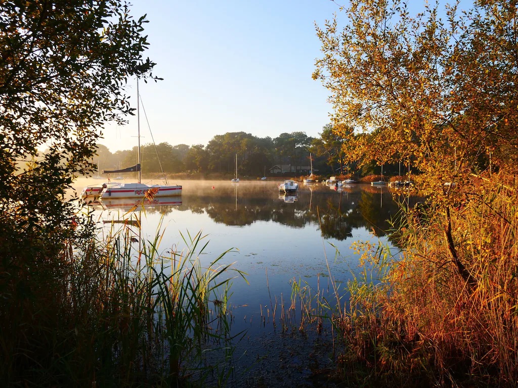 La Villa de Longarisse, Lacanau - photo 17