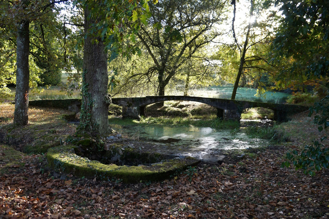 Visite de la villa art déco et du parc de la Texonnière