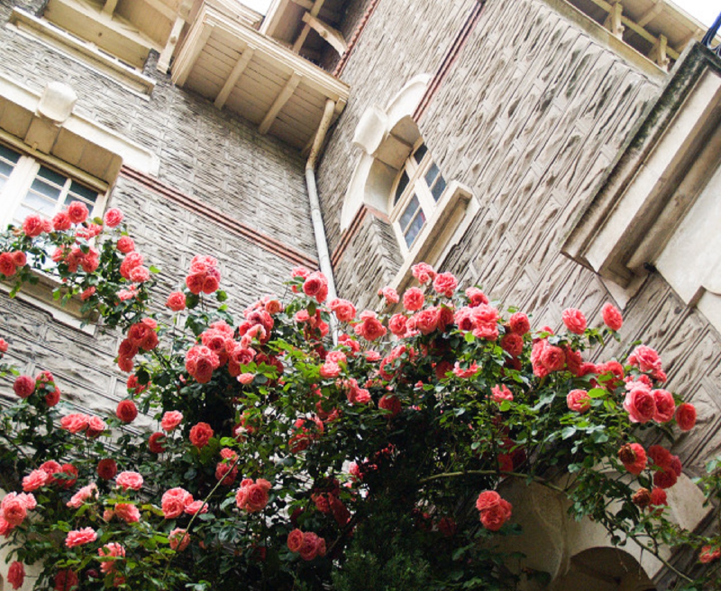 Villa Sanchis - photo 4