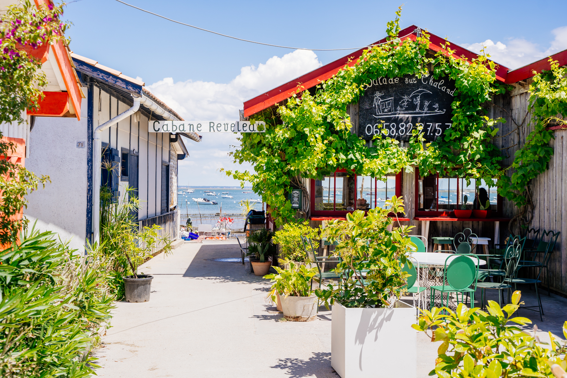 Plages du Bassin - Le Canon/La Vigne, Lège-Cap-Ferret