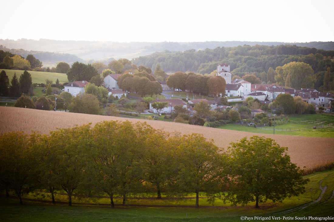 Boucle de Grand-Brassac - Bois de Sinzelles, Grand-Brassac - photo 5
