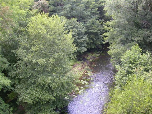 Vallée du Ciron et Haute Lande Girondine - photo 2