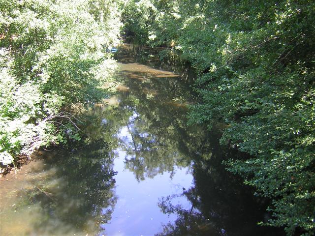 Vallée du Ciron et Haute Lande Girondine - photo 3
