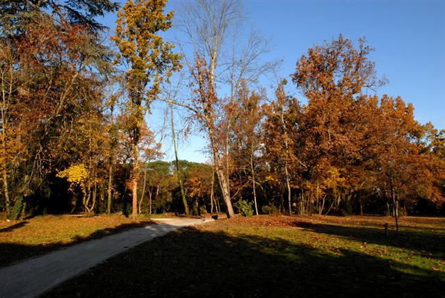 Parc Sourreil, Villenave-d'Ornon - photo 2