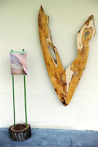 Parc Sourreil, Villenave-d'Ornon