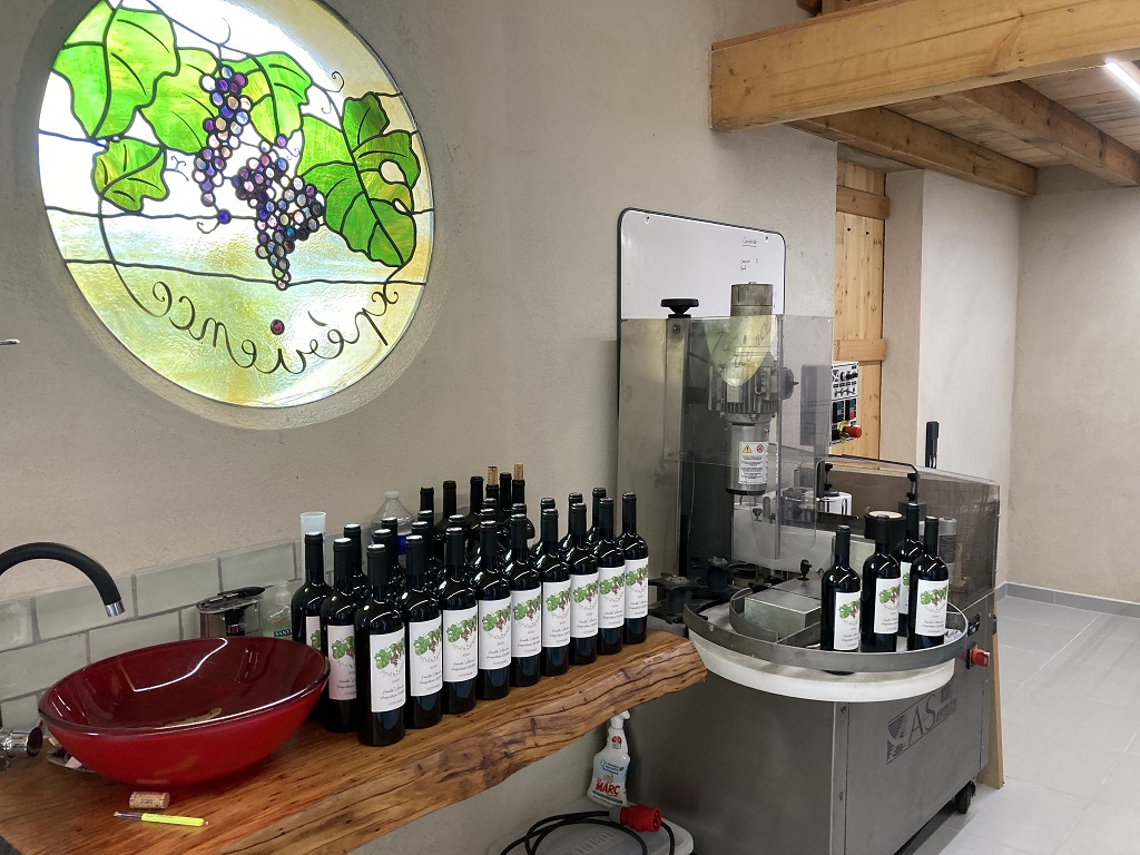 Vignoble Expérience